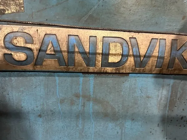 60" x 40' Sandvik Belt Flaker